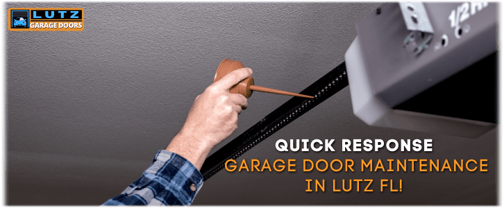 Garage Door Maintenance Lutz FL